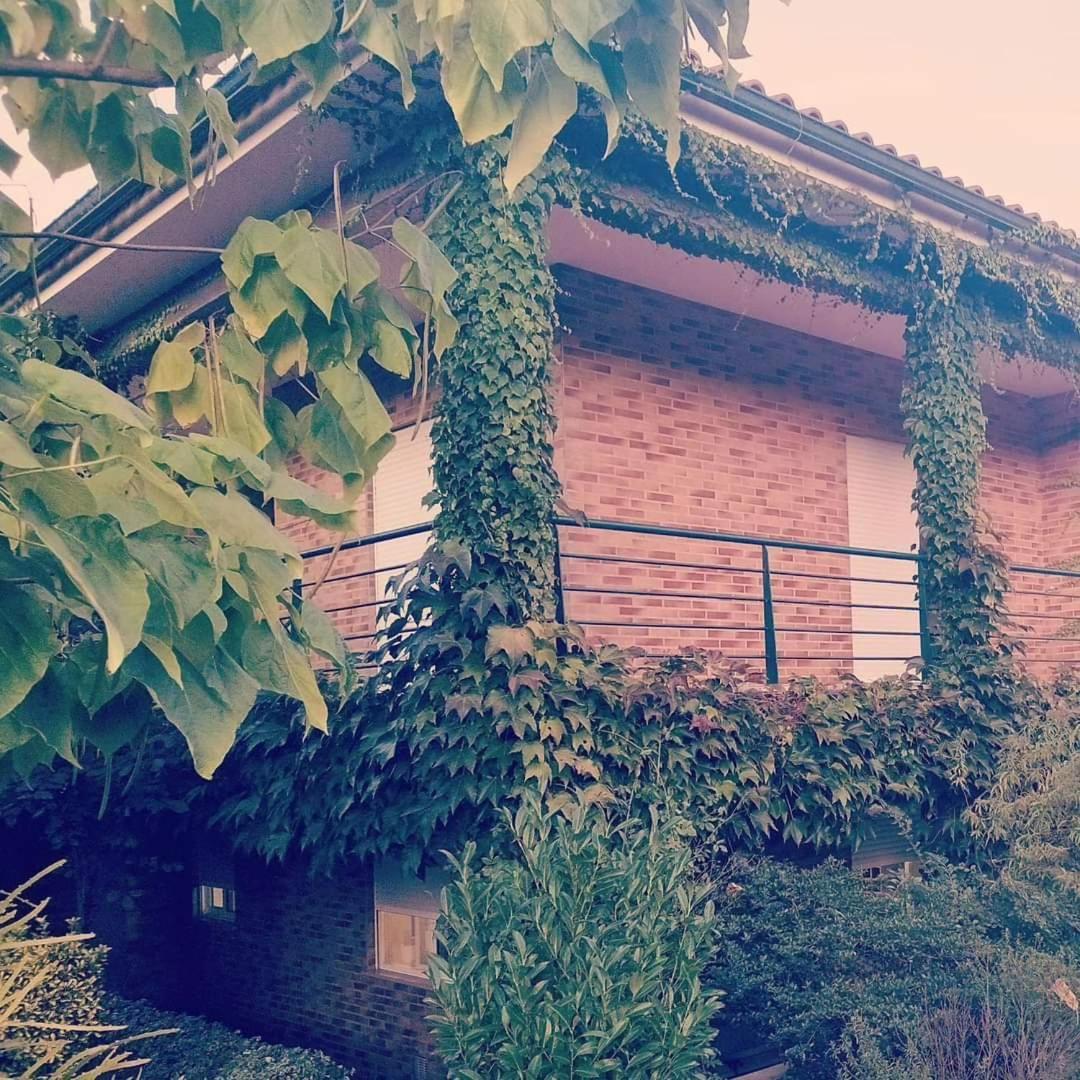 Casa Campo Ao Rio_Village 巴塞卢什 外观 照片