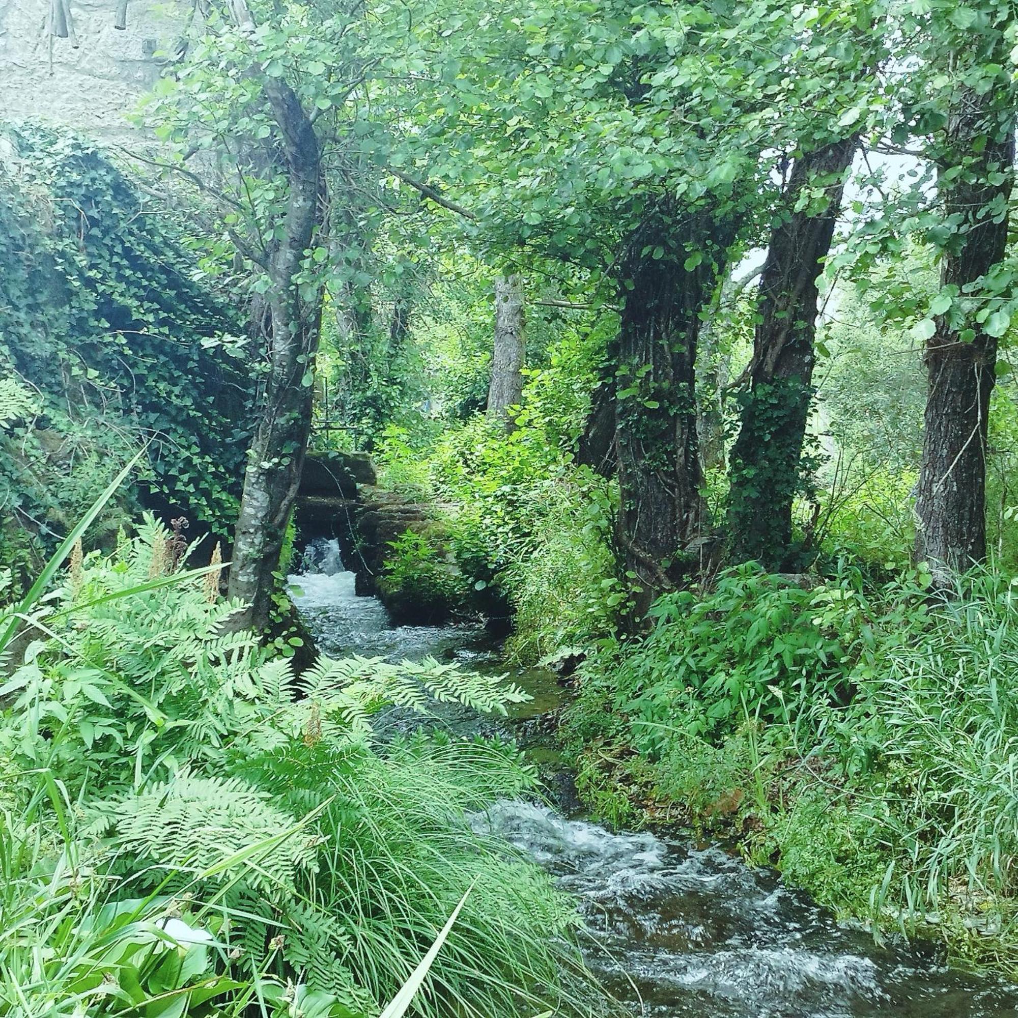 Casa Campo Ao Rio_Village 巴塞卢什 外观 照片